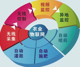 農(nóng)村物聯(lián)網(wǎng)綜合信息服務(wù)項(xiàng)目網(wǎng)絡(luò)技術(shù)服務(wù)收尾工作全面展開(kāi)